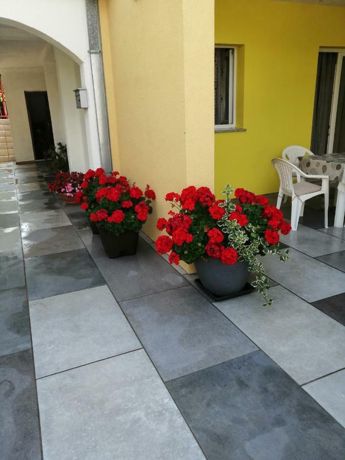 לאבין Apartments Sara מראה חיצוני תמונה
